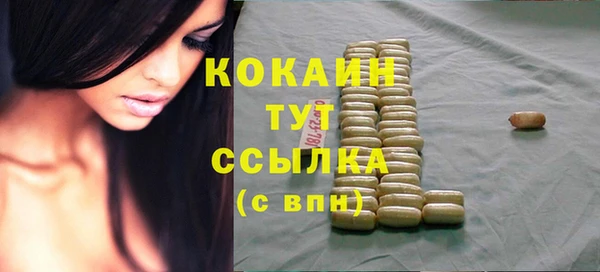 крисы Гусев