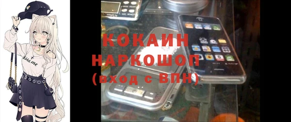 jwh Гусь-Хрустальный