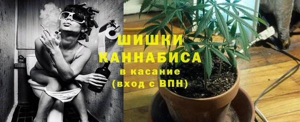 крисы Гусев