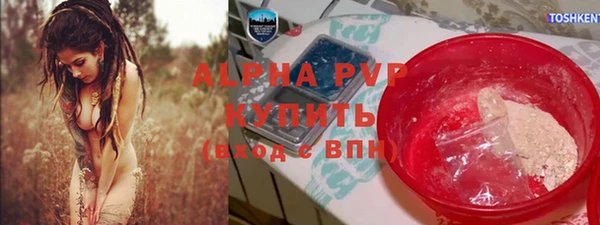 крисы Гусев